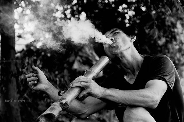 Từ hồi dùng thứ này bố bỏ hẳn thuốc lá nhá